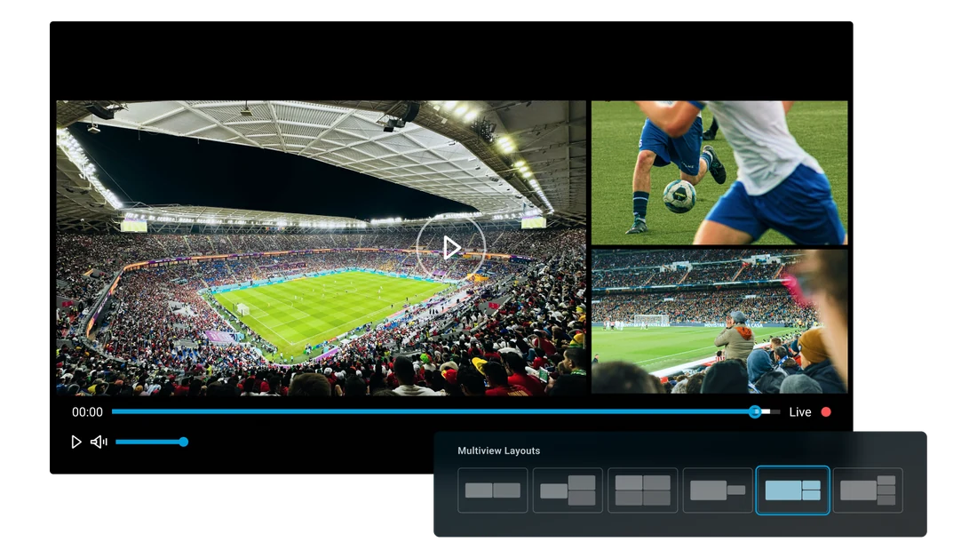 Dynamic Multiview logo